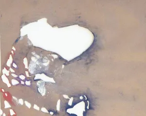 Loni zaujala raritní Zátková, nejúspěšnější byla Šimotová