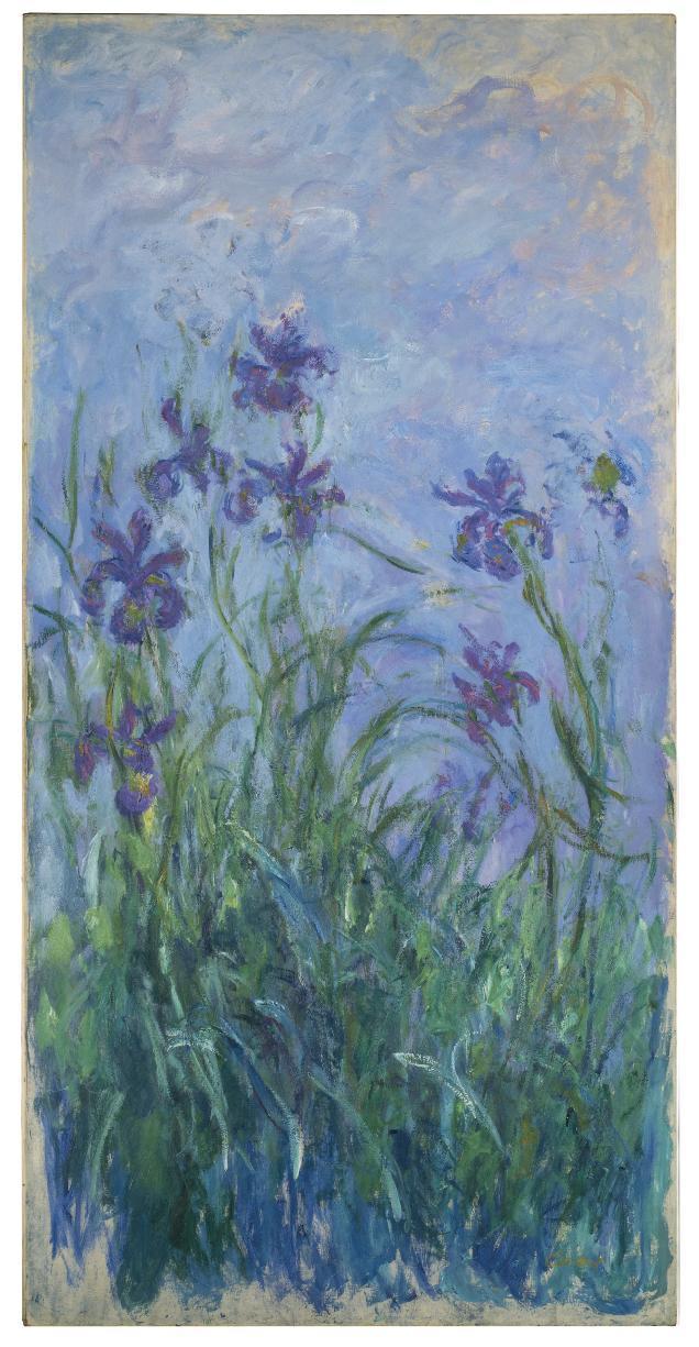 Claude Monet: Fialové kosatce /1914 - 1917 /olej na plátně / 200,5 x 100,5 cm / Christie´s 23. 6. 2015 / předaukční odhad 6 – 9 000 000 GBP