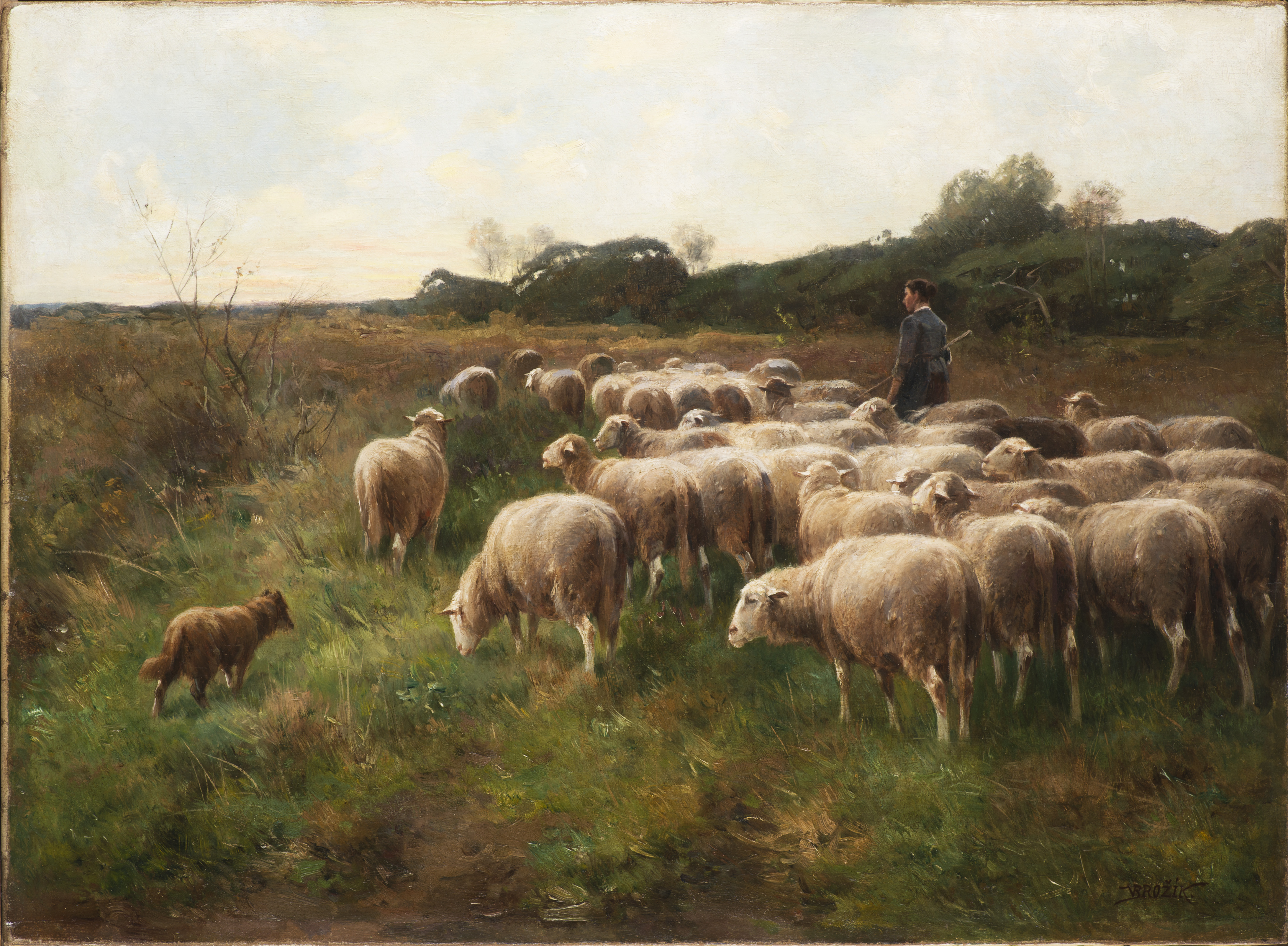 Václav Brožík: Ovce na pastvě, 90. léta 19. století, 