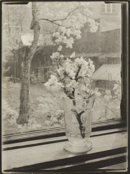 Josef Sudek: Okno mého ateliéru, 1944–53,